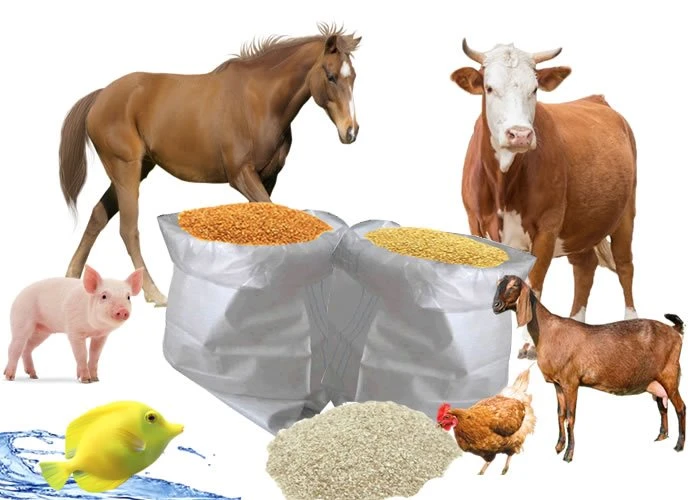 Berberine extract-animals-feed Berberine extract-animals-feed