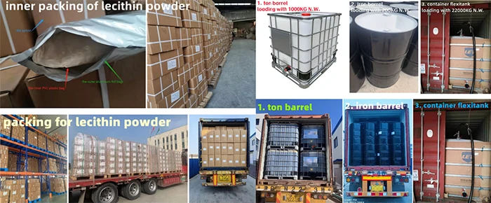 Chlorogenic Acid Powder Package Chlorogenic Acid Powder Package