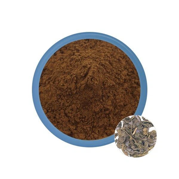 Folium-Isatidis extract