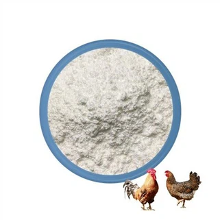 Poudre d'albendazole