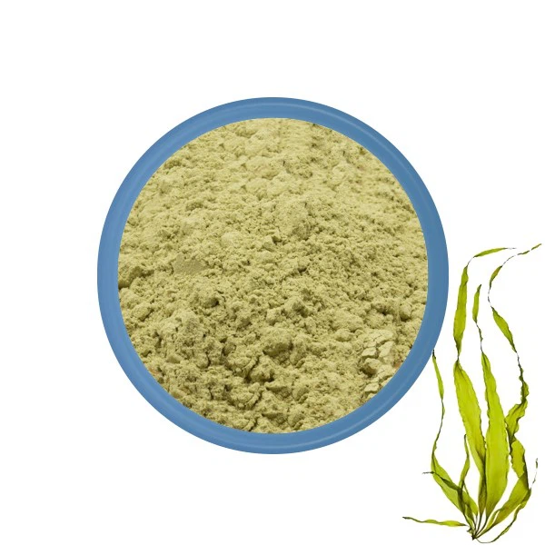 Poudre de varech pure