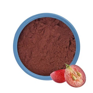 Poudre d'extrait de pépins de raisin de Chine