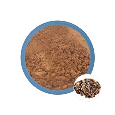 Poudre de champignons de Maitake